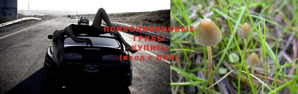 Альфа ПВП Алзамай
