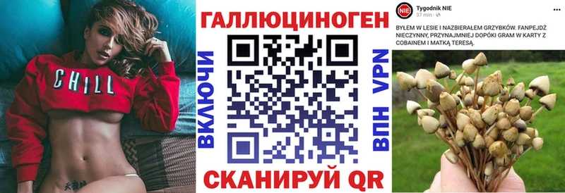 сайты даркнета телеграм  Алапаевск  Псилоцибиновые грибы Magic Shrooms 